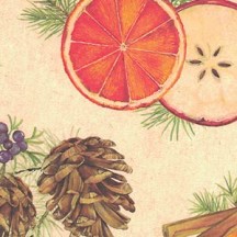 Fruit Slices and Spices Christmas Print Paper ~ Tassotti Italy